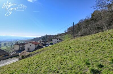 vente terrain 77 000 € à proximité de Chazelles-sur-Lyon (42140)