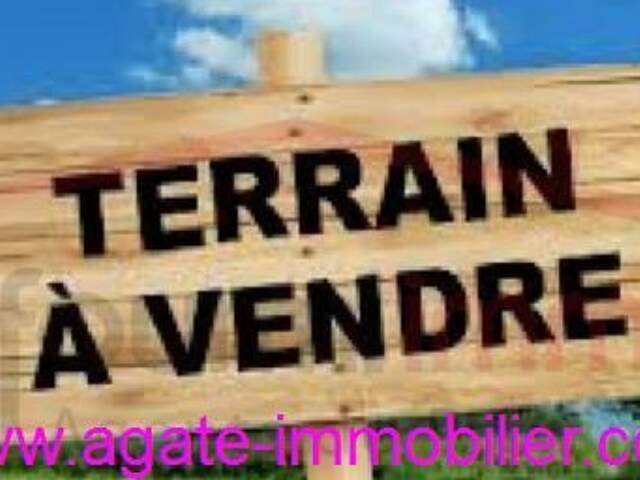 TERRAIN BOISE A VENDRE DE PLUS DE 2000 M² — photo du bien