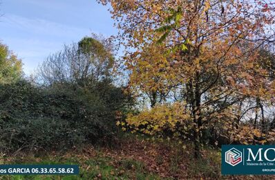 vente terrain 36 000 € à proximité de Duhort-Bachen (40800)