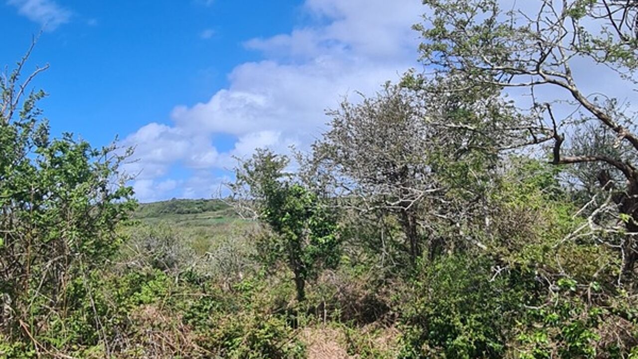 terrain  pièces 862 m2 à vendre à Crozon (29160)