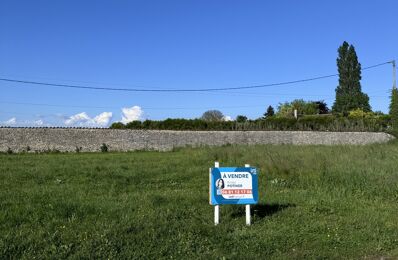 vente terrain 32 500 € à proximité de Maizières-Lès-Brienne (10500)
