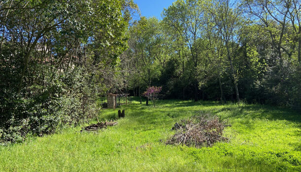 Villa / Maison 7 pièces  à vendre Montpellier 34000