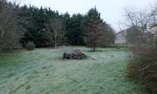 Photo N° 4