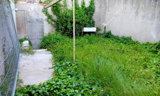 Photo N° 2