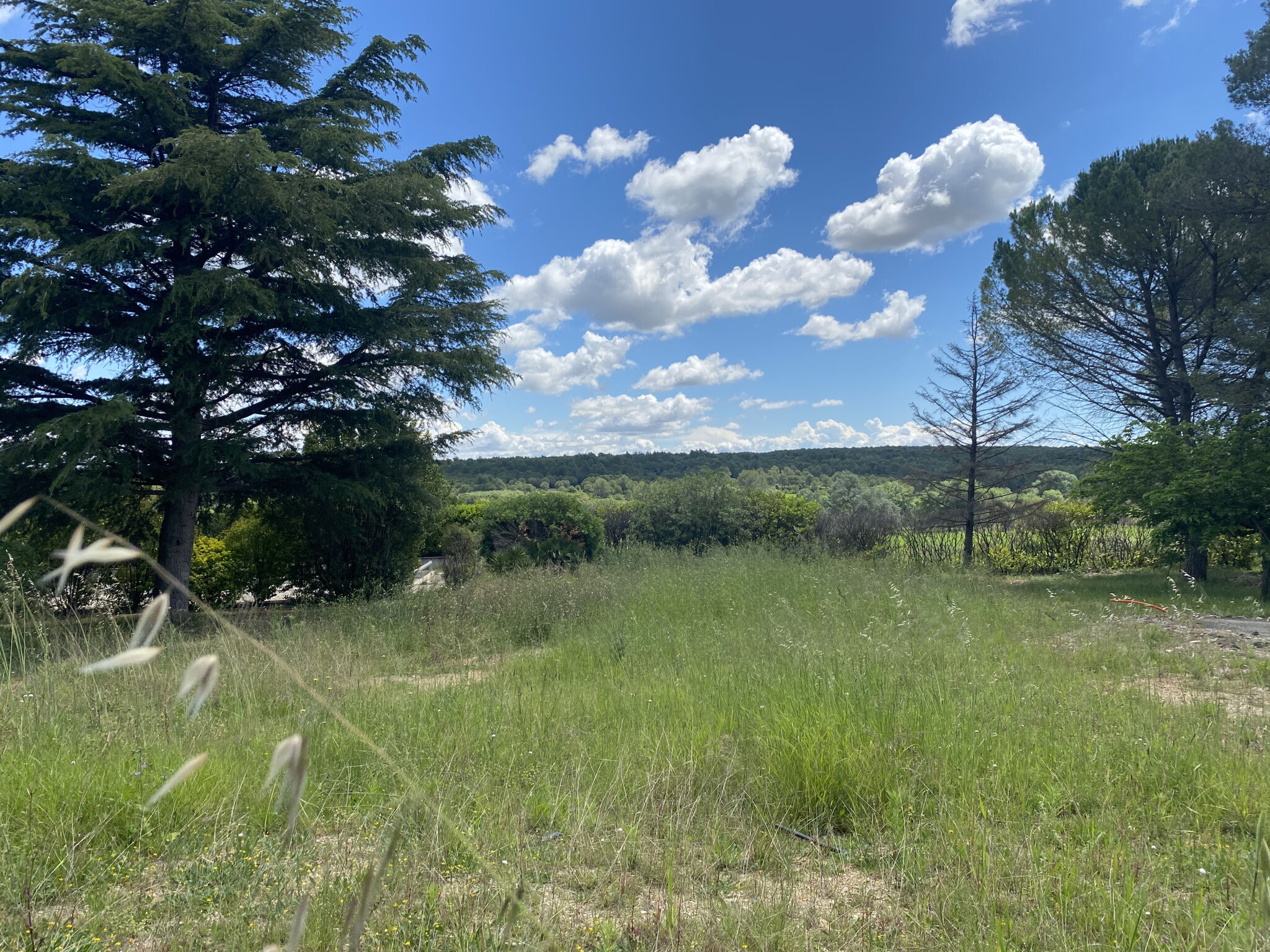 Terrain  à vendre Teyran 34820