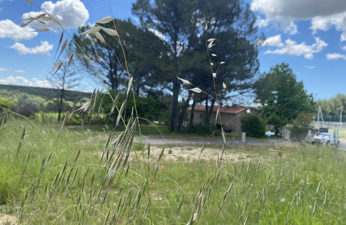 Terrain à vendre à TEYRAN proche de Montpellier — photo 3
