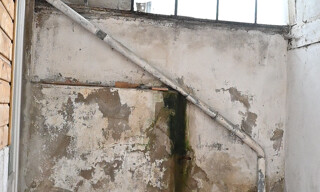 Photo N° 4
