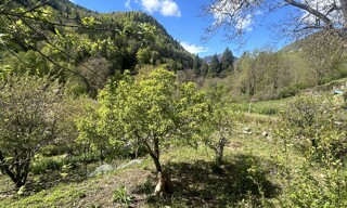 Photo N° 4