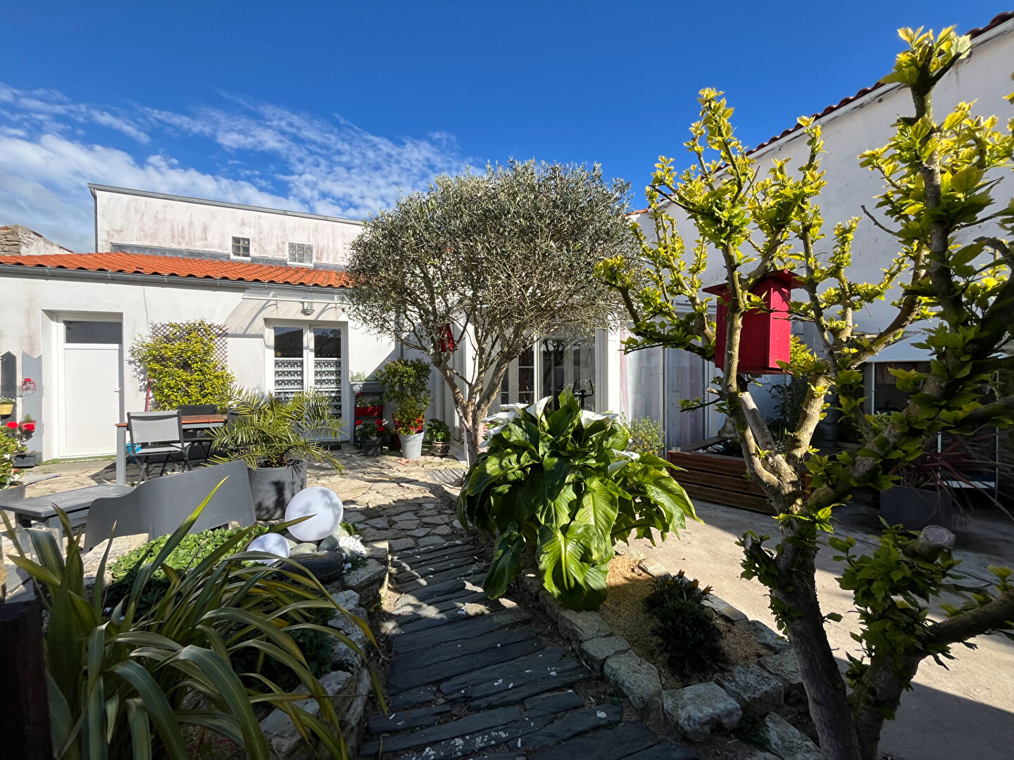 Villa / Maison 5 pièces  à vendre Brée-les-Bains (La) 17840