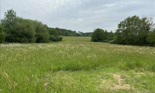 Terrain  6000 m² à vendre à Écuras (16220)