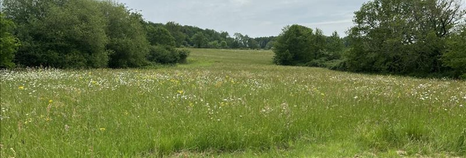 Terrain  6000 m² à vendre à Écuras (16220)