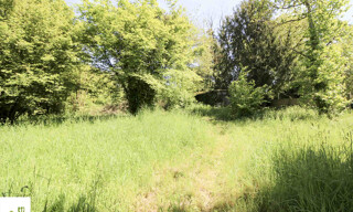 Photo N° 3