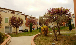 Photo N° 5