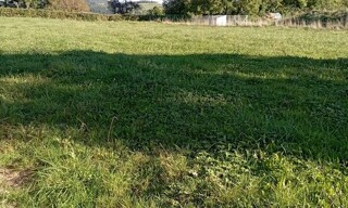 Photo N° 4