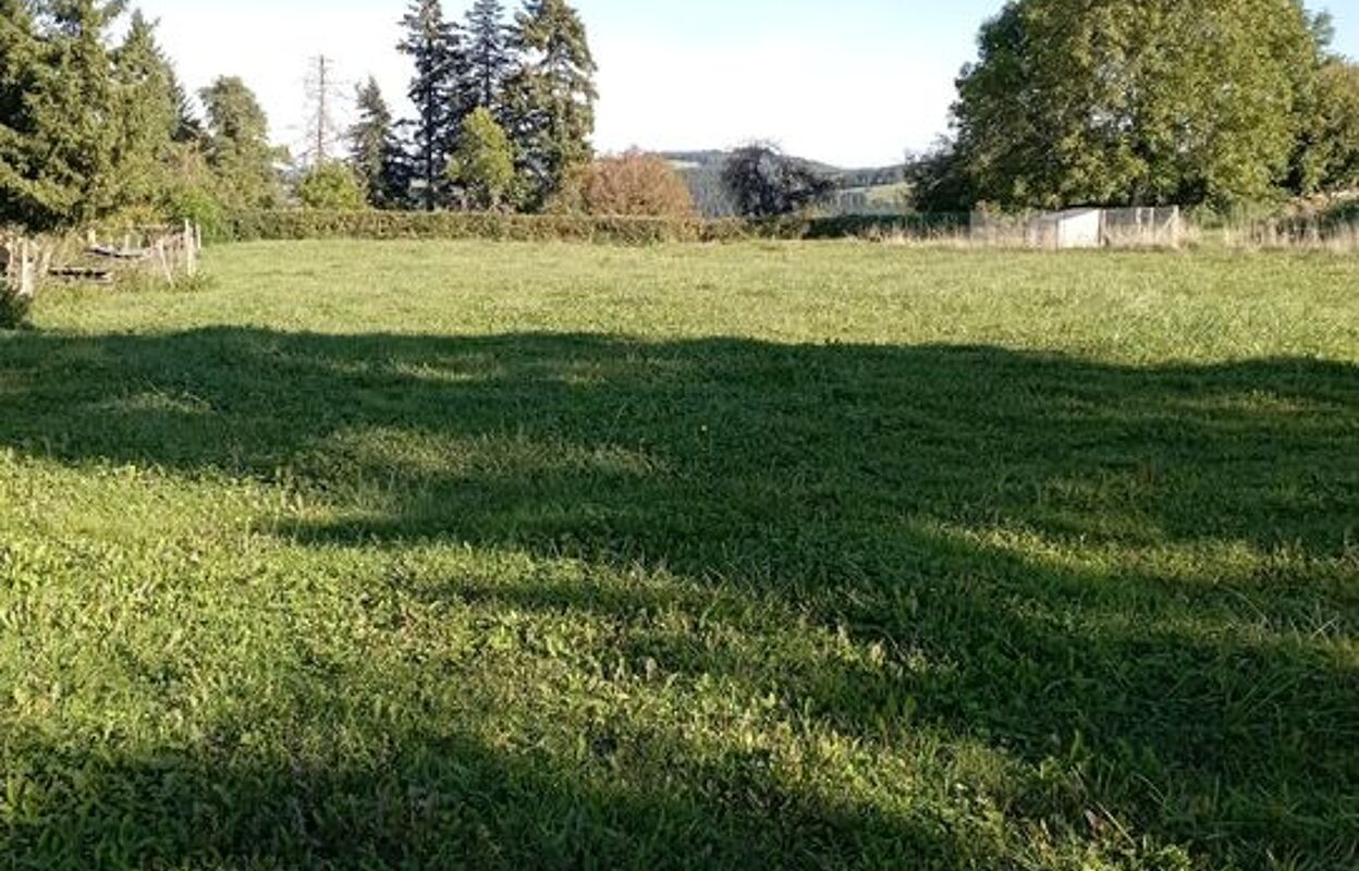 terrain  pièces 1993 m2 à vendre à Ferrières-sur-Sichon (03250)