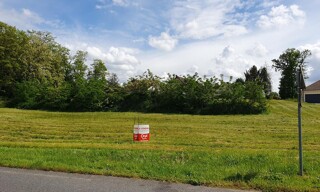Photo N° 4