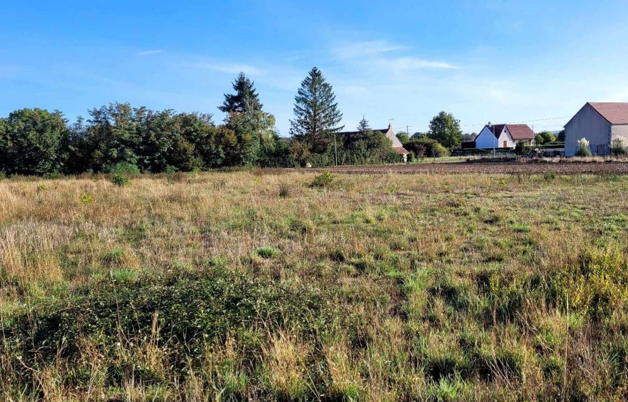 terrain  pièces 2570 m2 à vendre à Varennes-Lès-Narcy (58400)