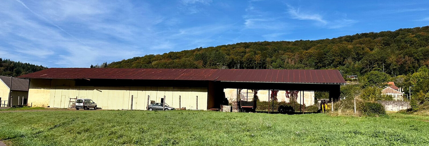 Garage  3700 m² à vendre à Saint-Bresson (70280)