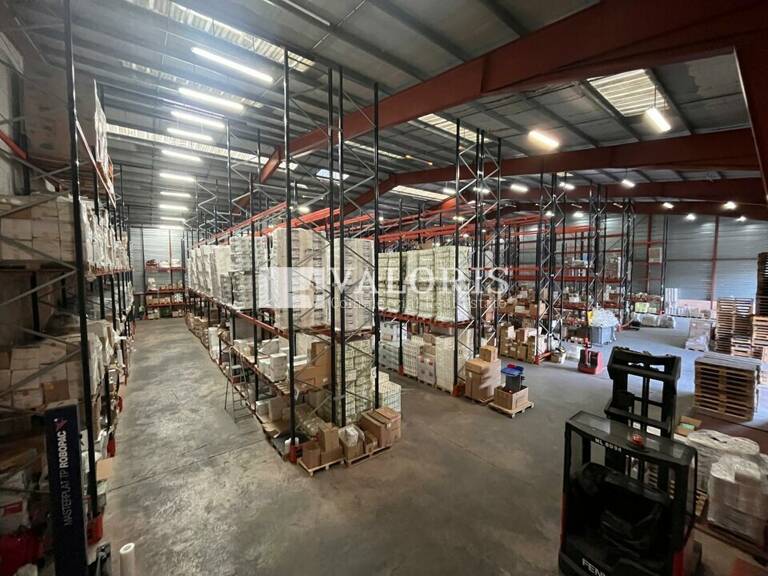 ENTREPOT - LOGISTIQUE à LOUER — photo 1