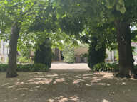La Crau/ Hyeres: Bastide du XIXème siècle  au milieu d'un vig... — photo 4