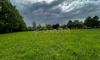 Photo N° 5