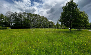 Photo N° 6