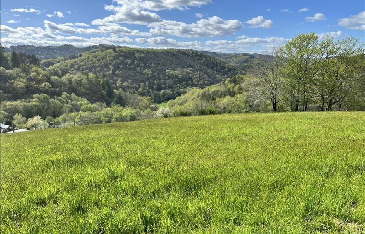 terrain  pièces 3264 m2 à vendre à Argentat-sur-Dordogne (19400)