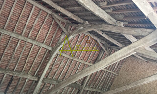 Photo N° 6