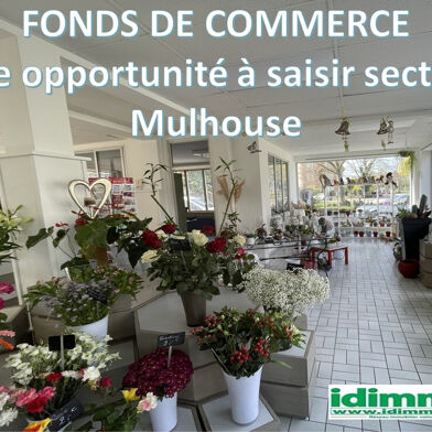 Commerce 245 m²