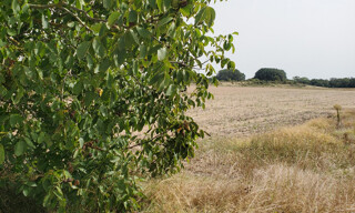 Terrain  738 m² à vendre à Meschers-sur-Gironde (17132)