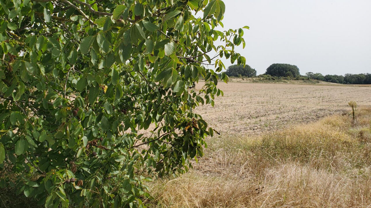 terrain  pièces 738 m2 à vendre à Meschers-sur-Gironde (17132)