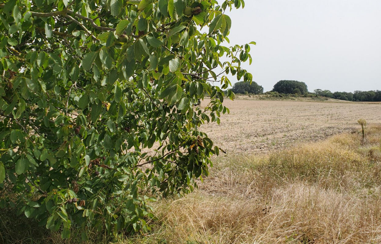 terrain  pièces 738 m2 à vendre à Meschers-sur-Gironde (17132)