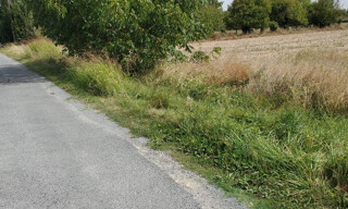 Photo N° 4