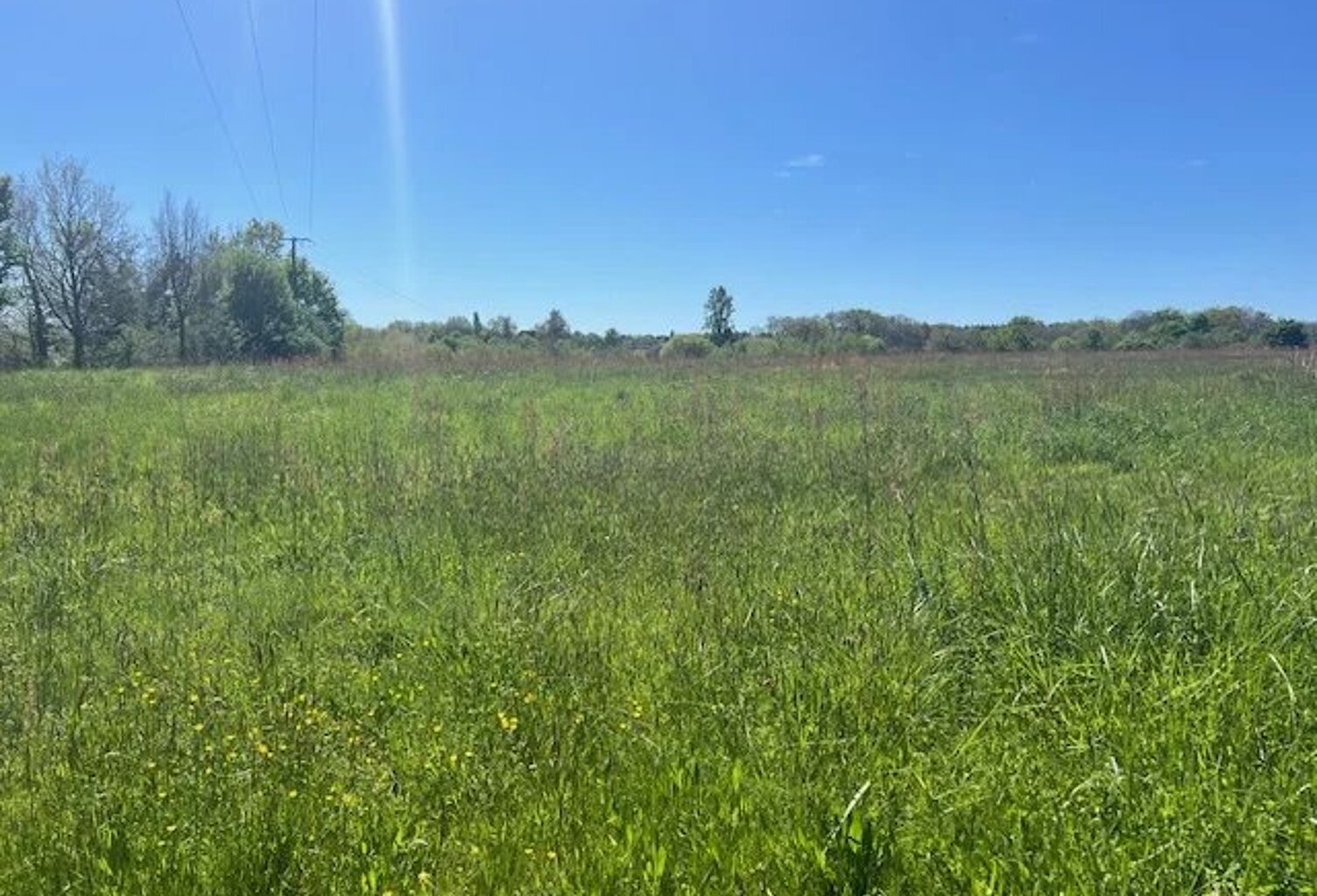 TERRAIN de 3181 m2 Proche mielan — photo 1