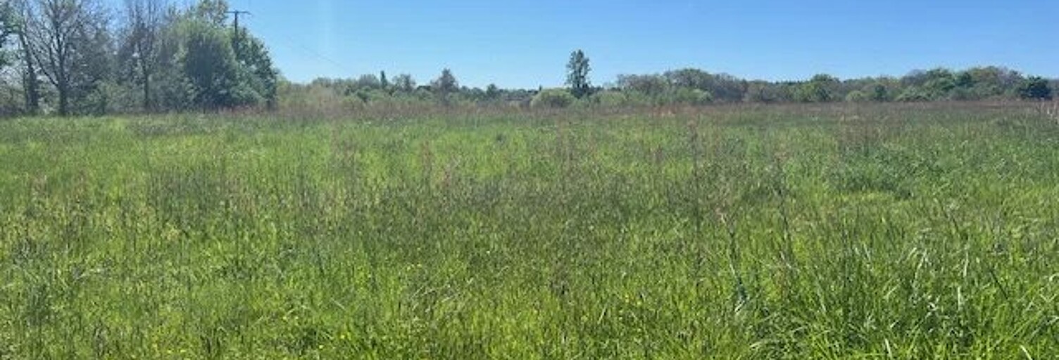 Terrain  3181 m² à vendre à Miélan (32170)