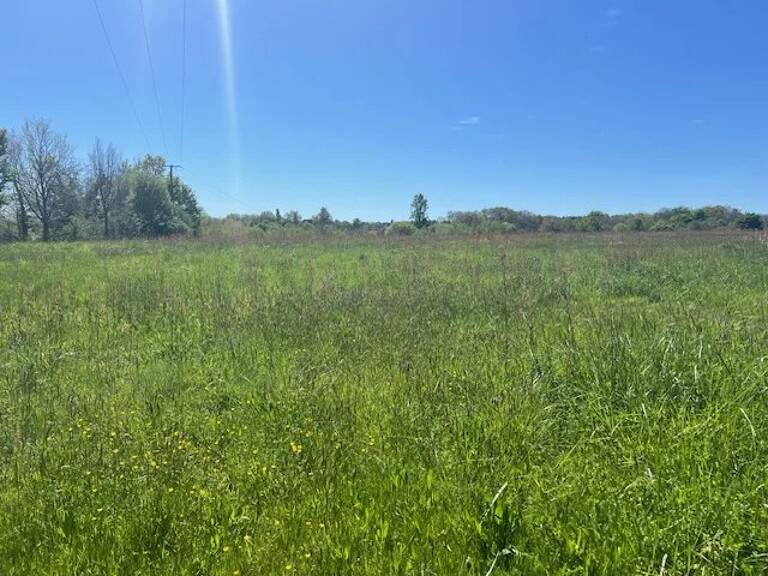 TERRAIN de 3181 m2 Proche mielan — photo 1