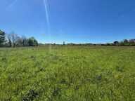 TERRAIN de 3181 m2 Proche mielan — photo 2