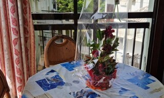 Photo N° 5