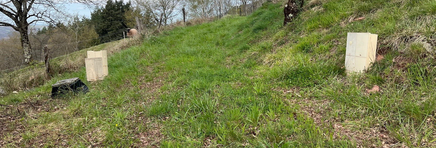Terrain   m² à vendre à Pruines (12320)