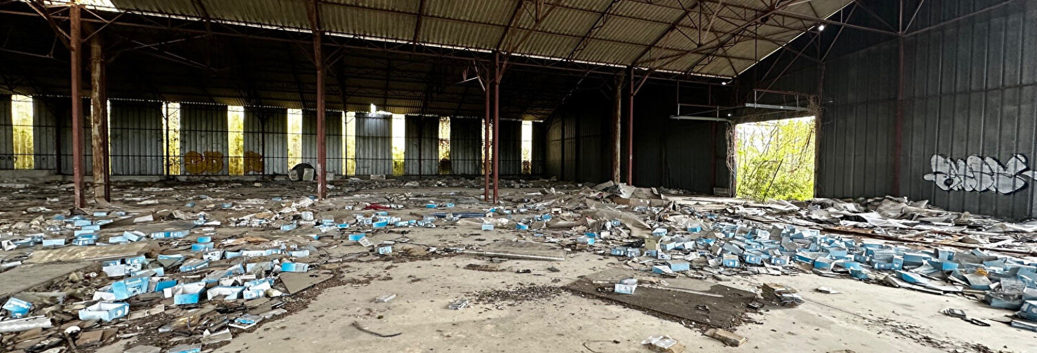 Terrain  8900 m² à vendre à Saint-Germain-du-Puy (18390)