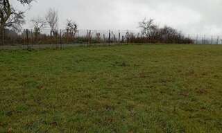 Terrain  1980 m² à vendre à Busset (03270)