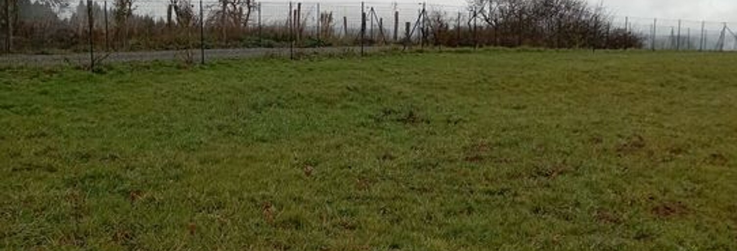 Terrain  1980 m² à vendre à Busset (03270)