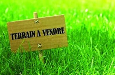 vente terrain 338 000 € à proximité de Île-d'Arz (56840)