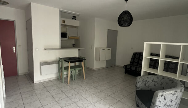 Appartement 1 pièces  à louer Montpellier 34000