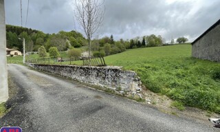 Photo N° 5