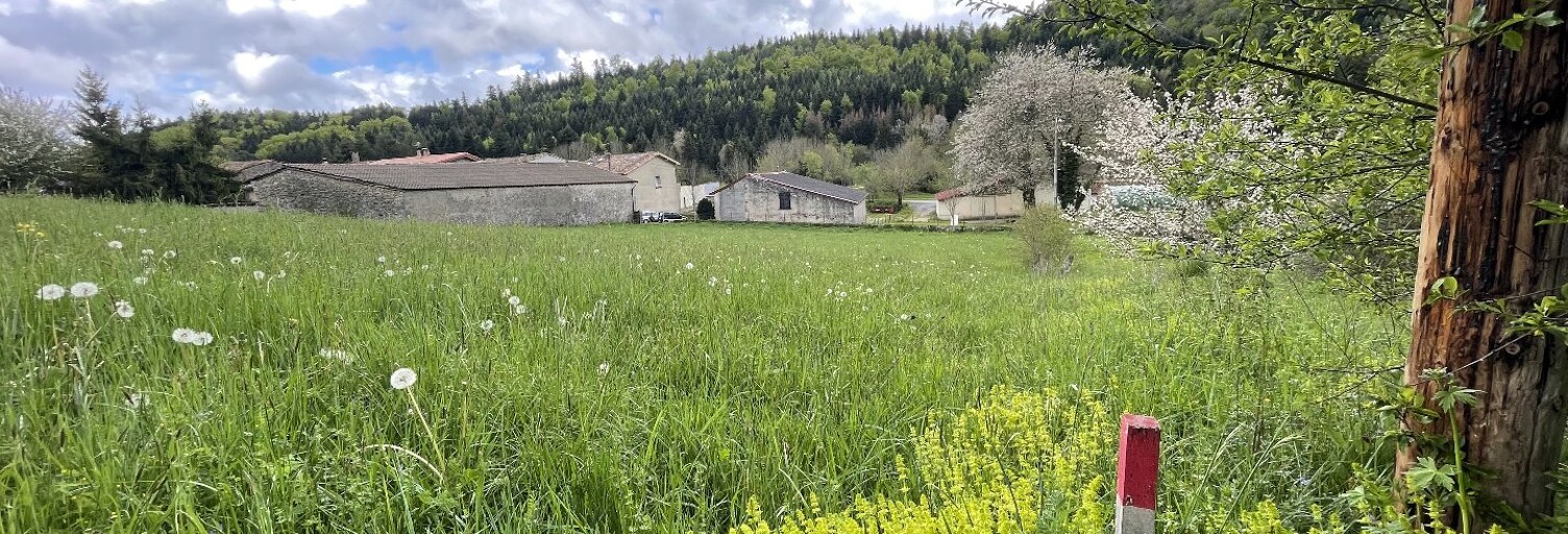 Terrain  799 m² à vendre à Roquefeuil (11340)