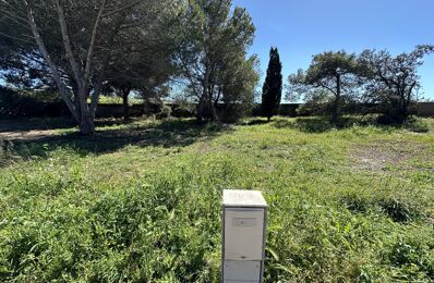 vente terrain 185 000 € à proximité de Pézenas (34120)