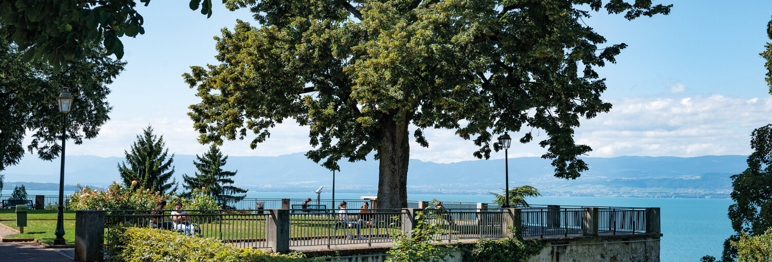Photo N° 2