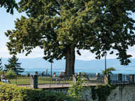 
          Appartement
          104 m²
          Thonon-les-Bains
          -
          74200
         — photo 2