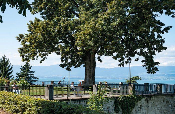 Vente programme neuf T4 104 m² Thonon-les-Bains (74200) — photo 2